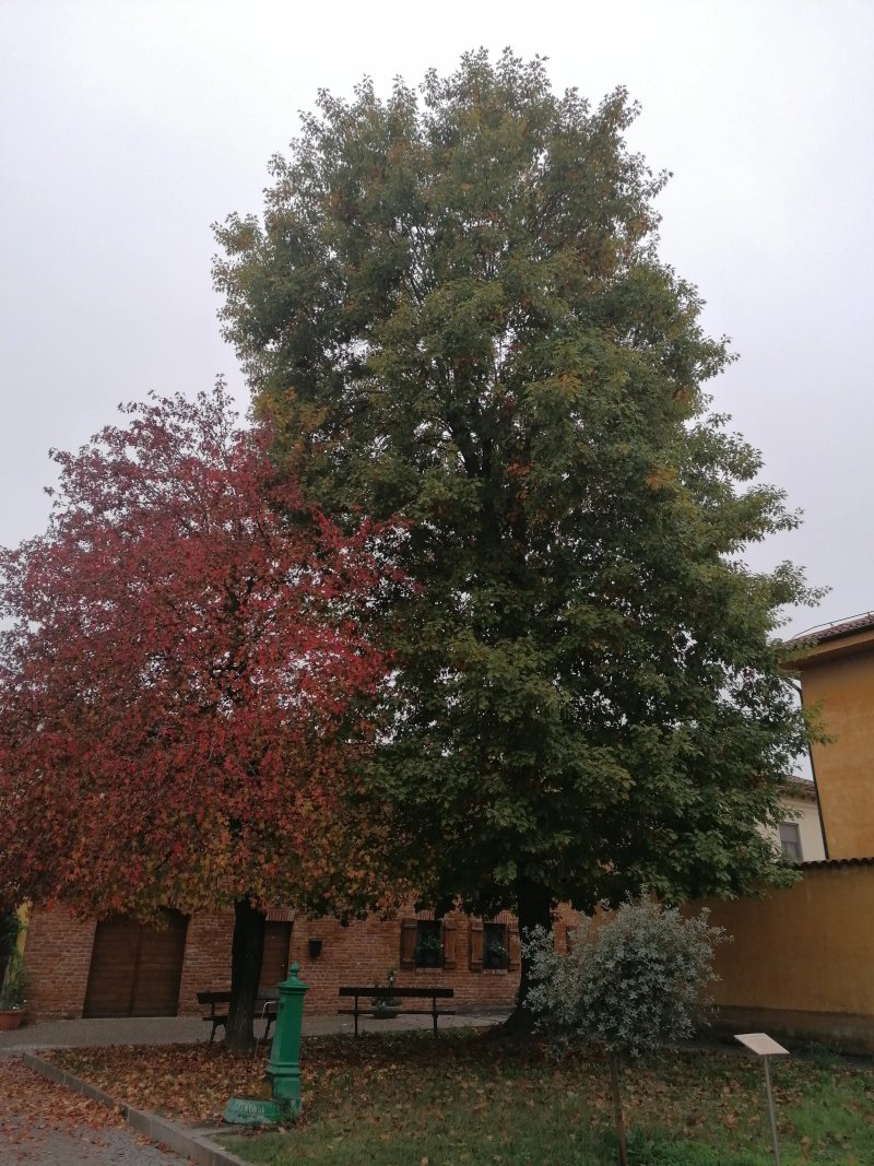 Locanda Ca' Novelli