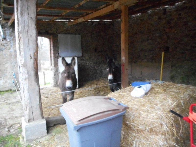 La Ferme des Ruats - Gite, chambres & table d'hôtes