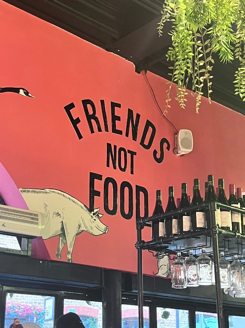 M'eat The Vegans - Multicuisine