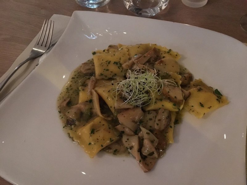 Amici