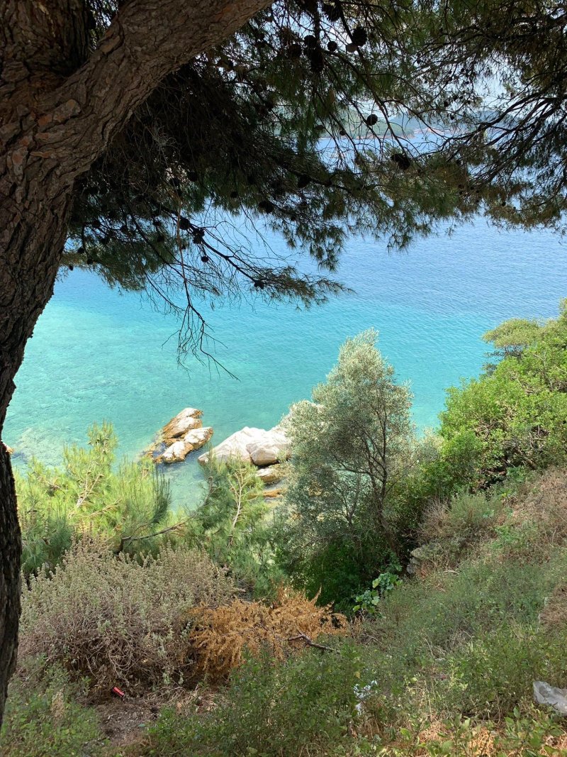 Chrysoula's Guest House