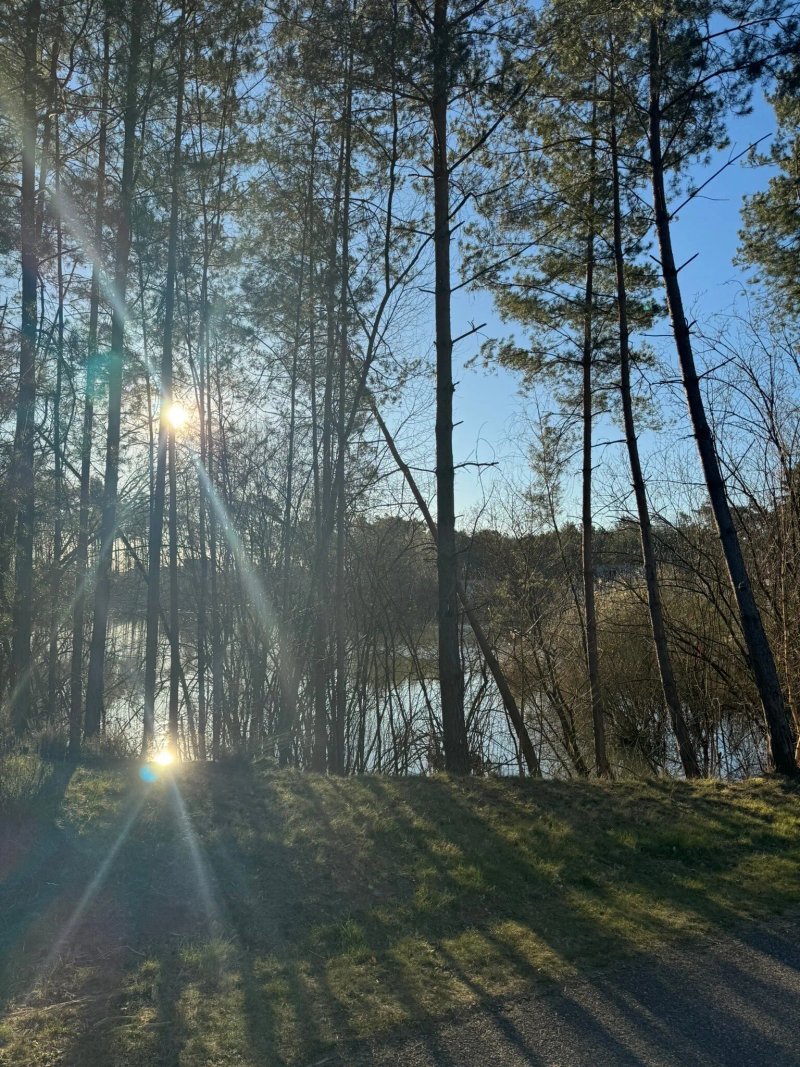 Terhills Resort By Center Parcs
