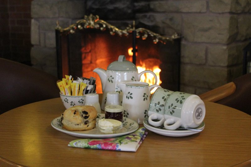 Ashwood Nurseries Tea Room