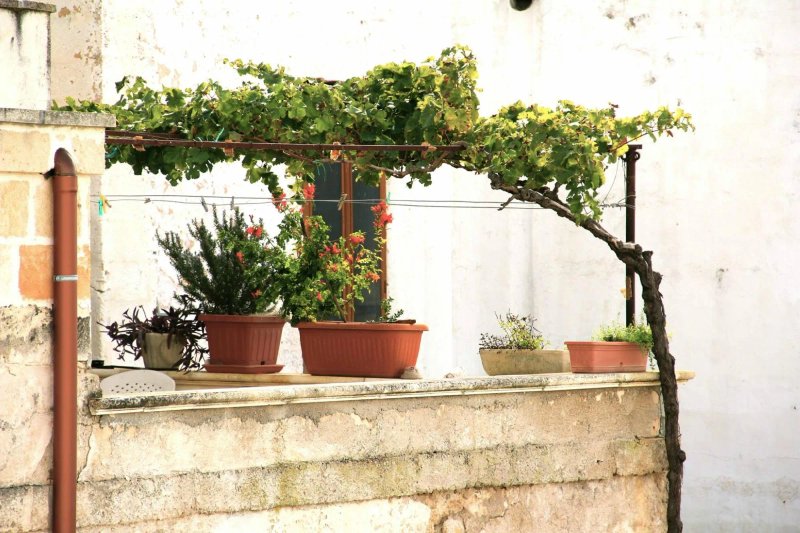 Masseria San Paolo Donadei