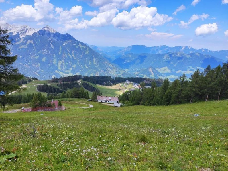 Die Alm