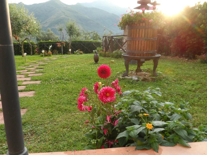 TraMonti DiVini