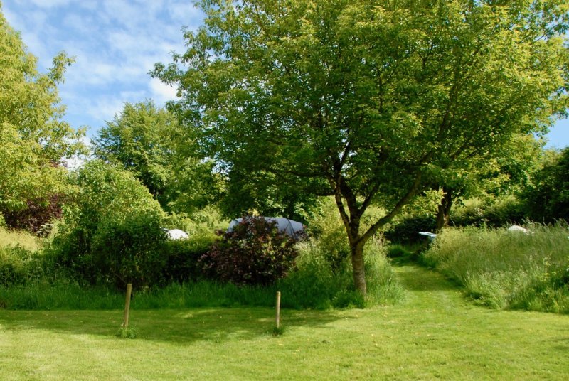 Batcombe Vale Campsite