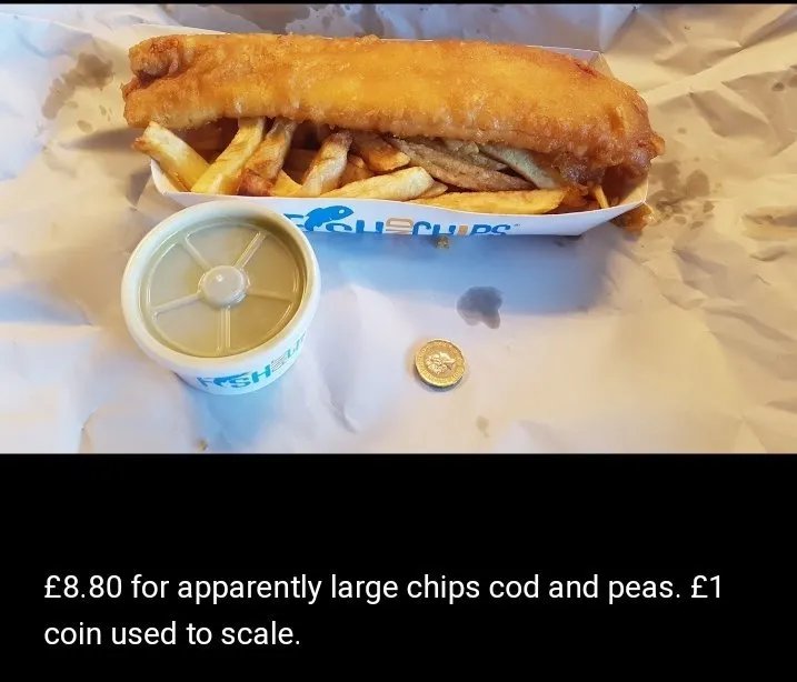 Fission Fish & Chips