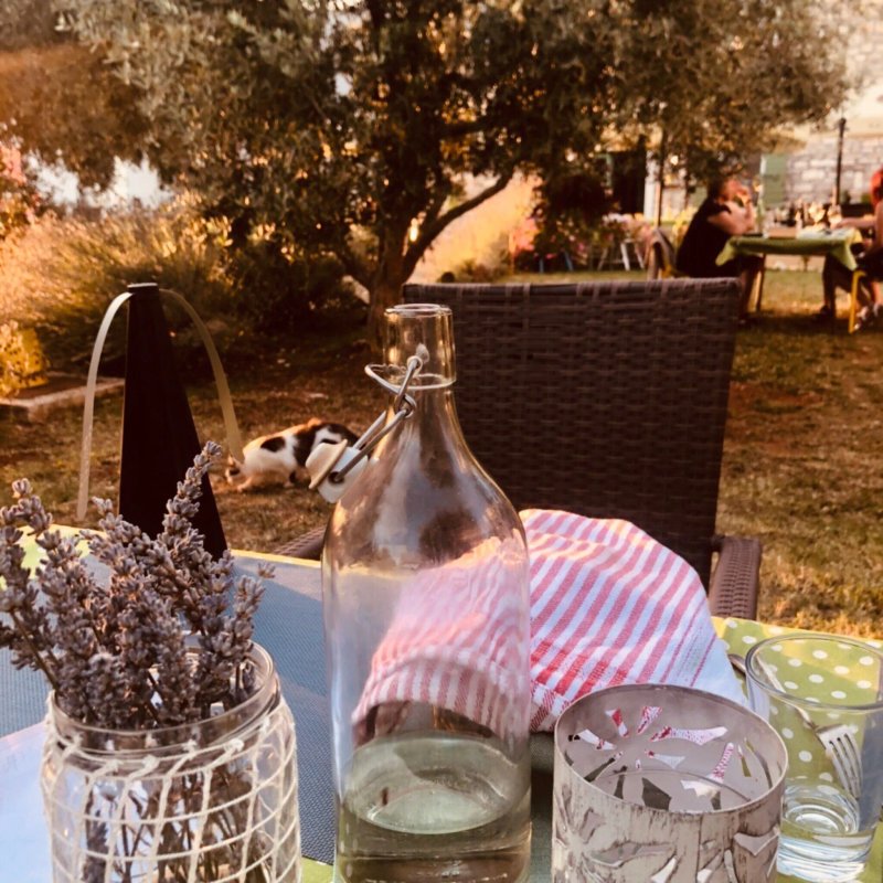 stancija spin