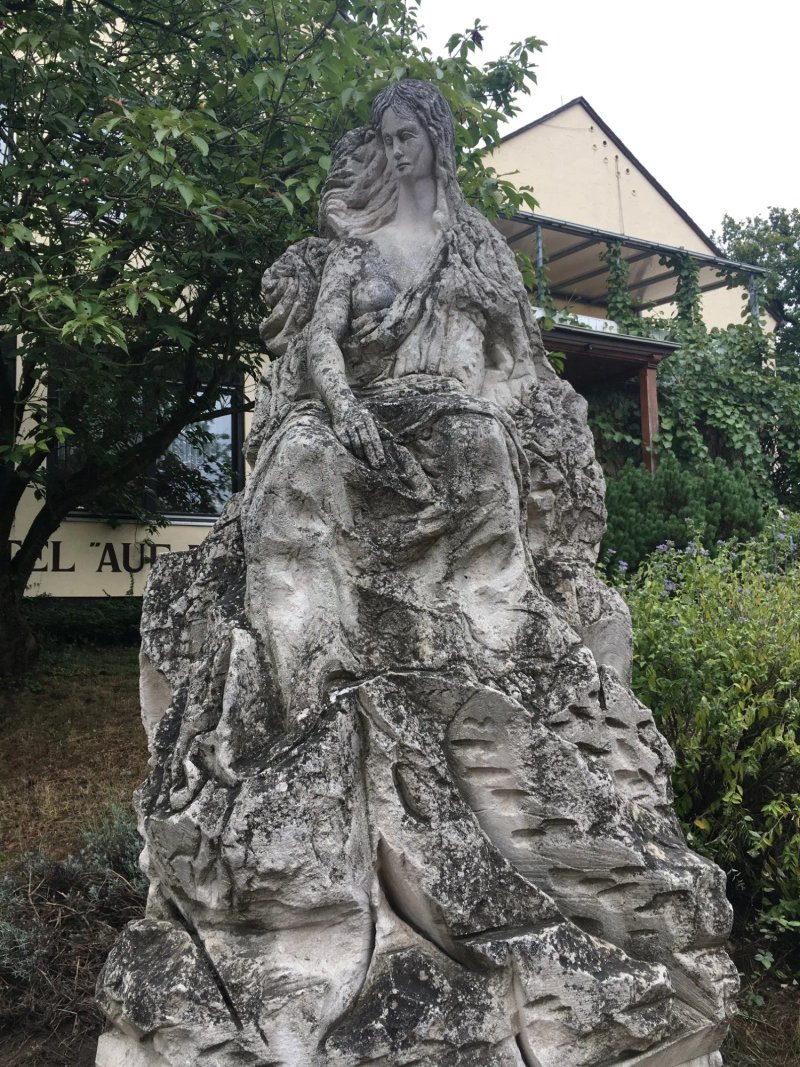 Loreleyblick
