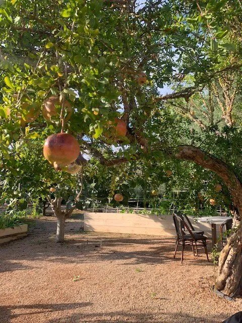 Agroturismo Ibiza Can Jaume