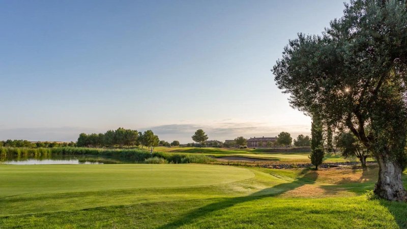 Exe Layos Golf