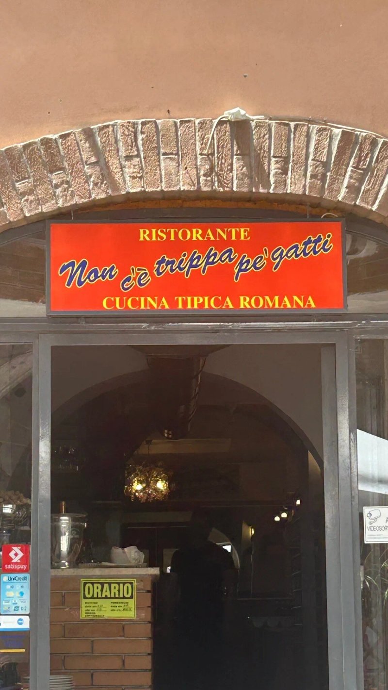 Non C’e Trippa Pe’ Gatti