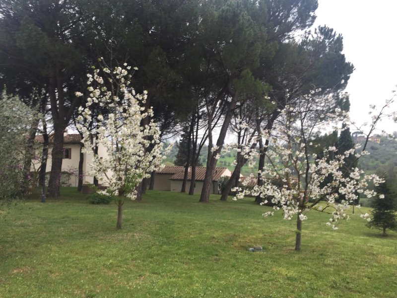 Villa Poggio ai Merli
