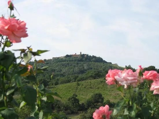 Agriturismo Poggio Sasseta