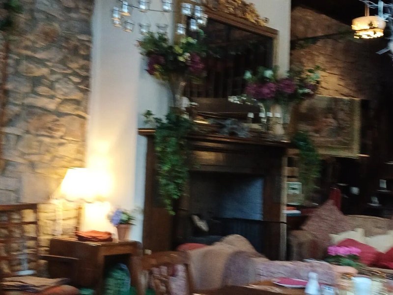 The Potting Shed