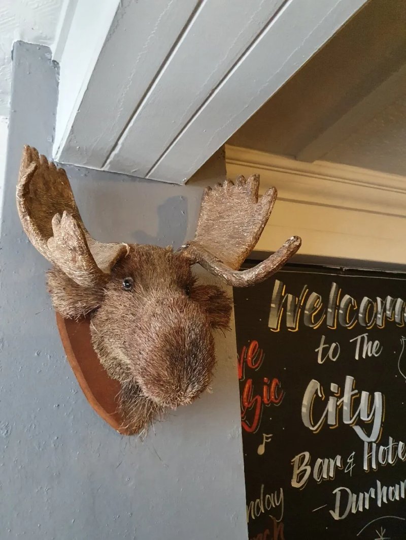 The City Bar and hotel