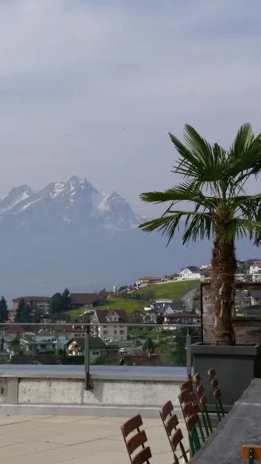 Restaurant Alpenblick Weggis