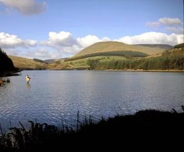 Pandy Caravan and Motorhome Club Campsite