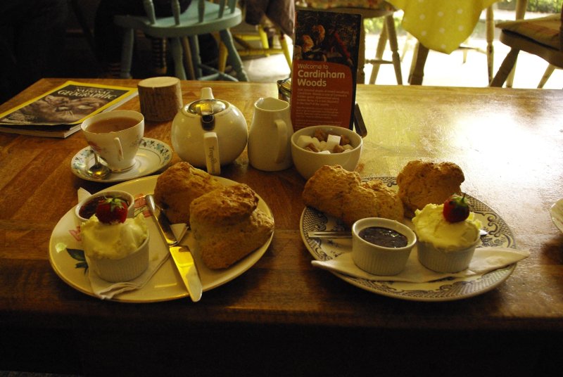 Woods Cafe