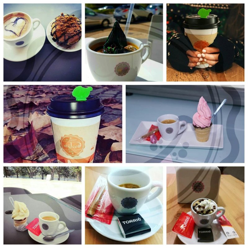Myiced Santarem