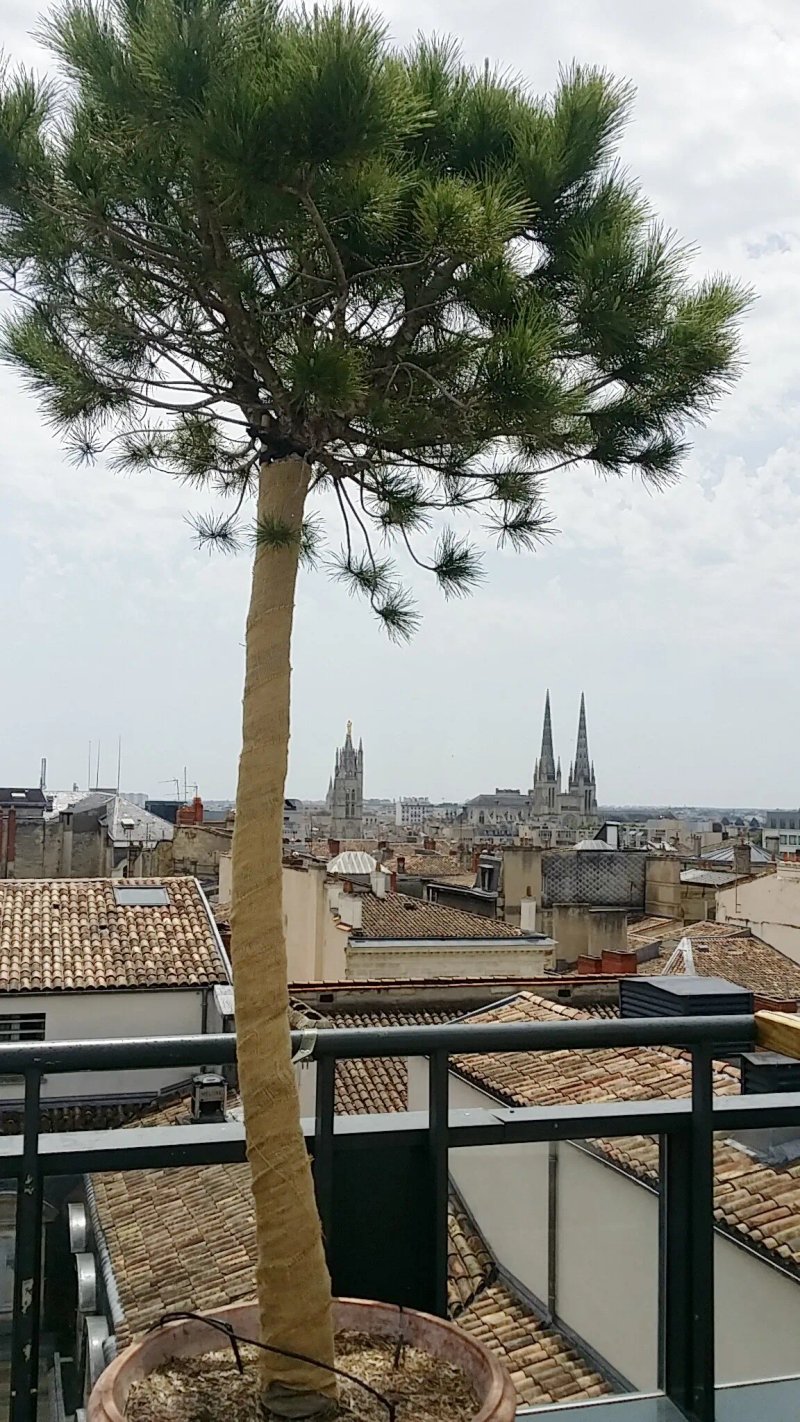 Le Rooftop du Grand Hotel