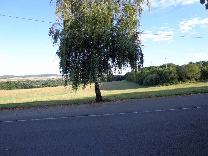 Waldhotel Eisenberg