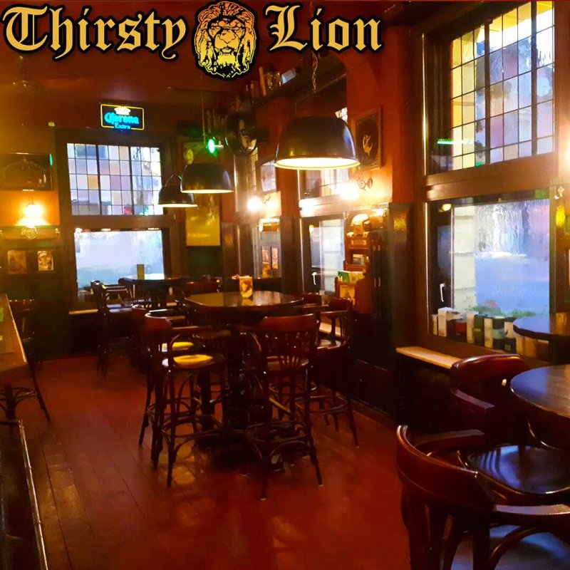 Thirsty Lion