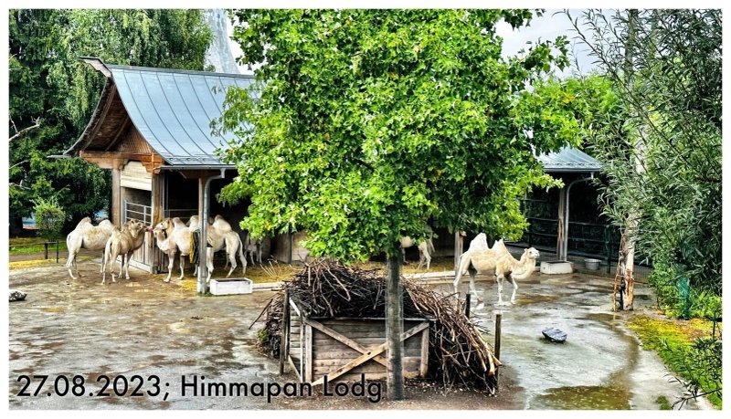 Himmapan Lodge