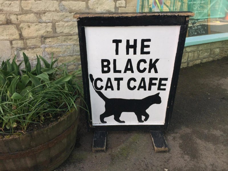 The Black Cat Cafe