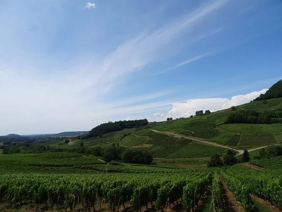 Magasin des Fromageries Vagne