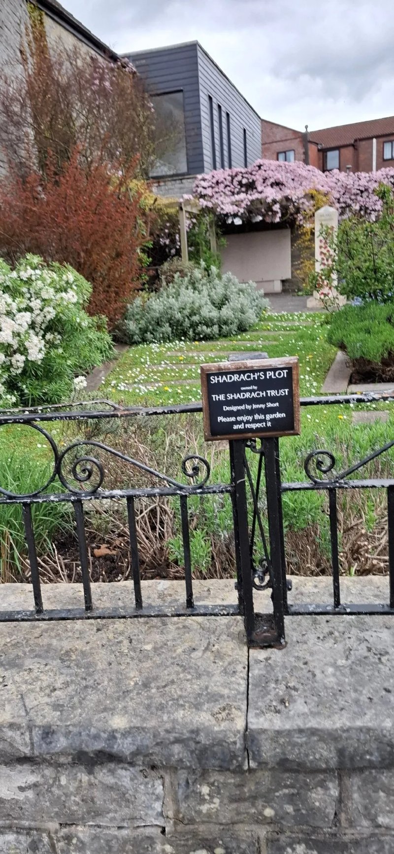 Shadrach's Plot