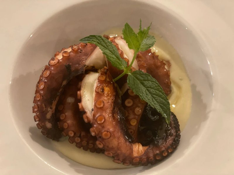 Il rosmarino