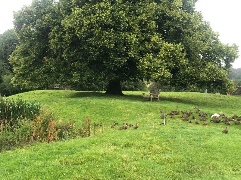 Caldbeck Glamping Barns & Bothy