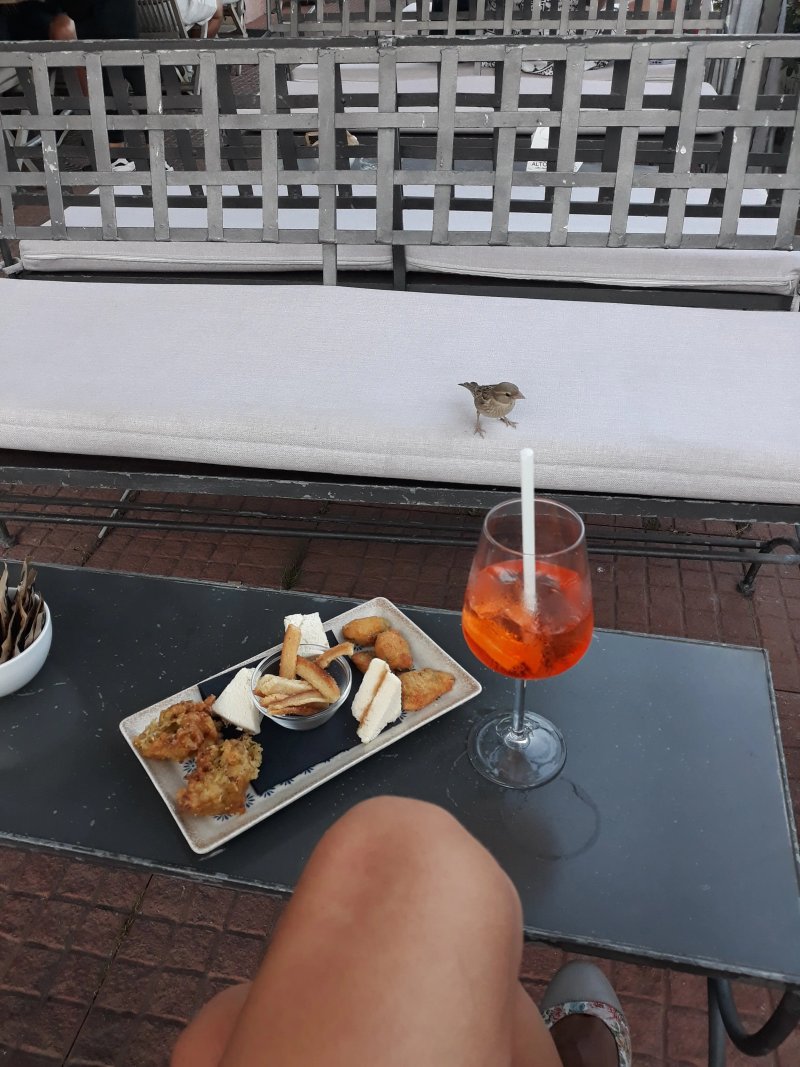 Bar Clelio