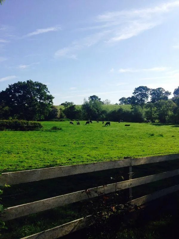 Mill Lodge B&B