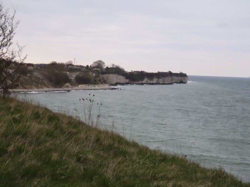 Stevns Klint Trampesti