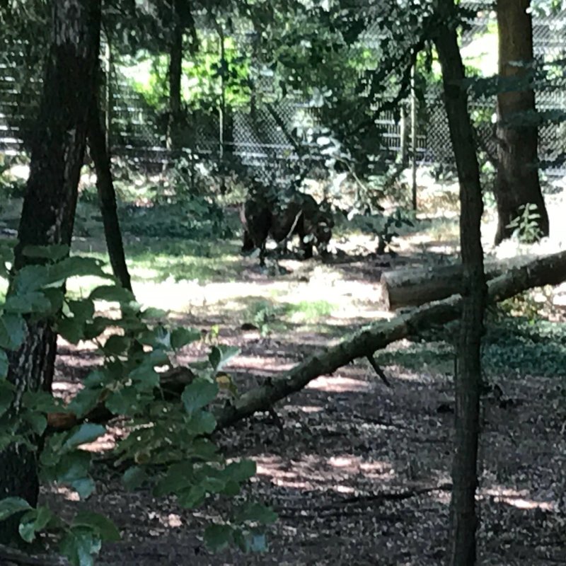 Ouwehands Dierenpark-Parkrest.