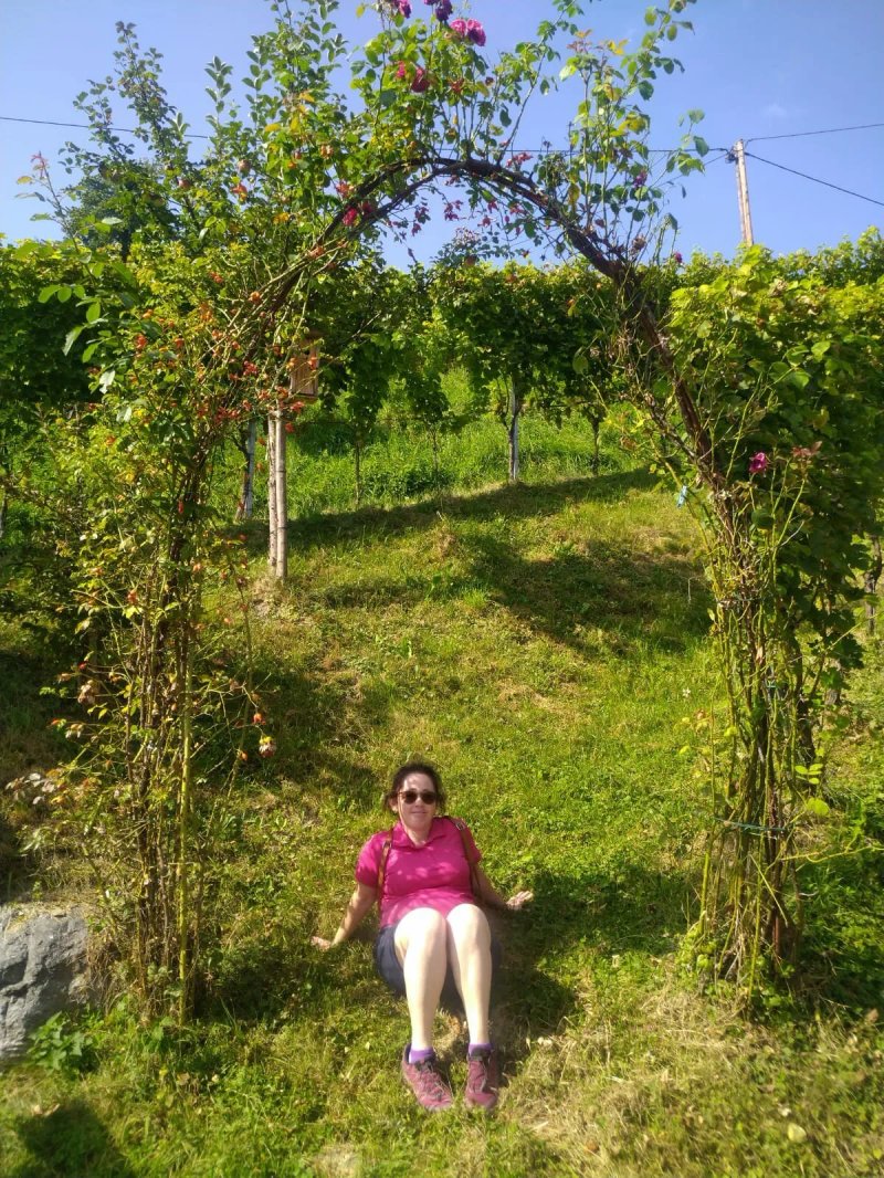 Weingut Brenner Am Rossberg
