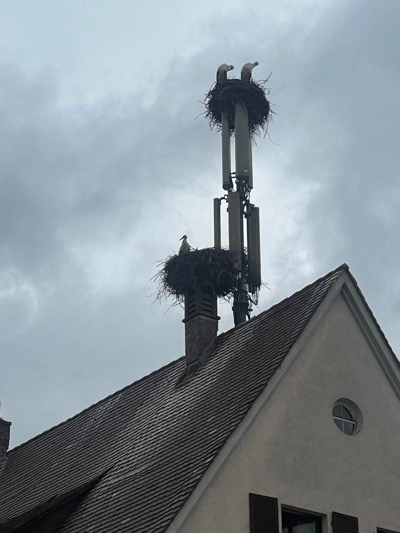 Hotel Jagerhaus