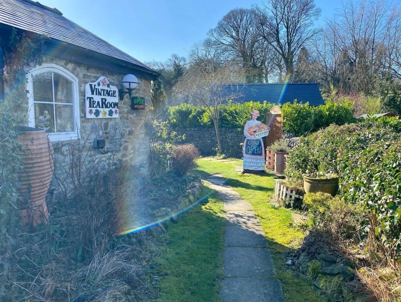 Ivy Cottage Vintage Tea Room