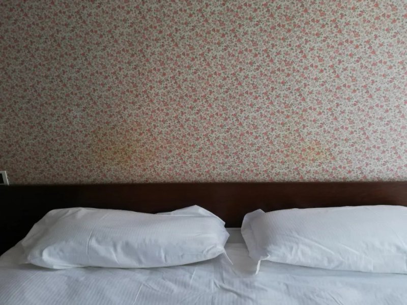 Hotel Brescia