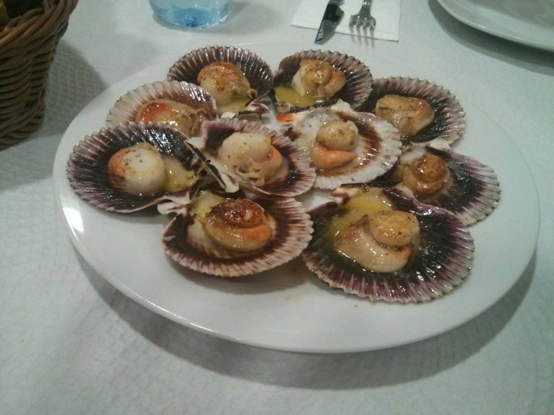 A Codorniz