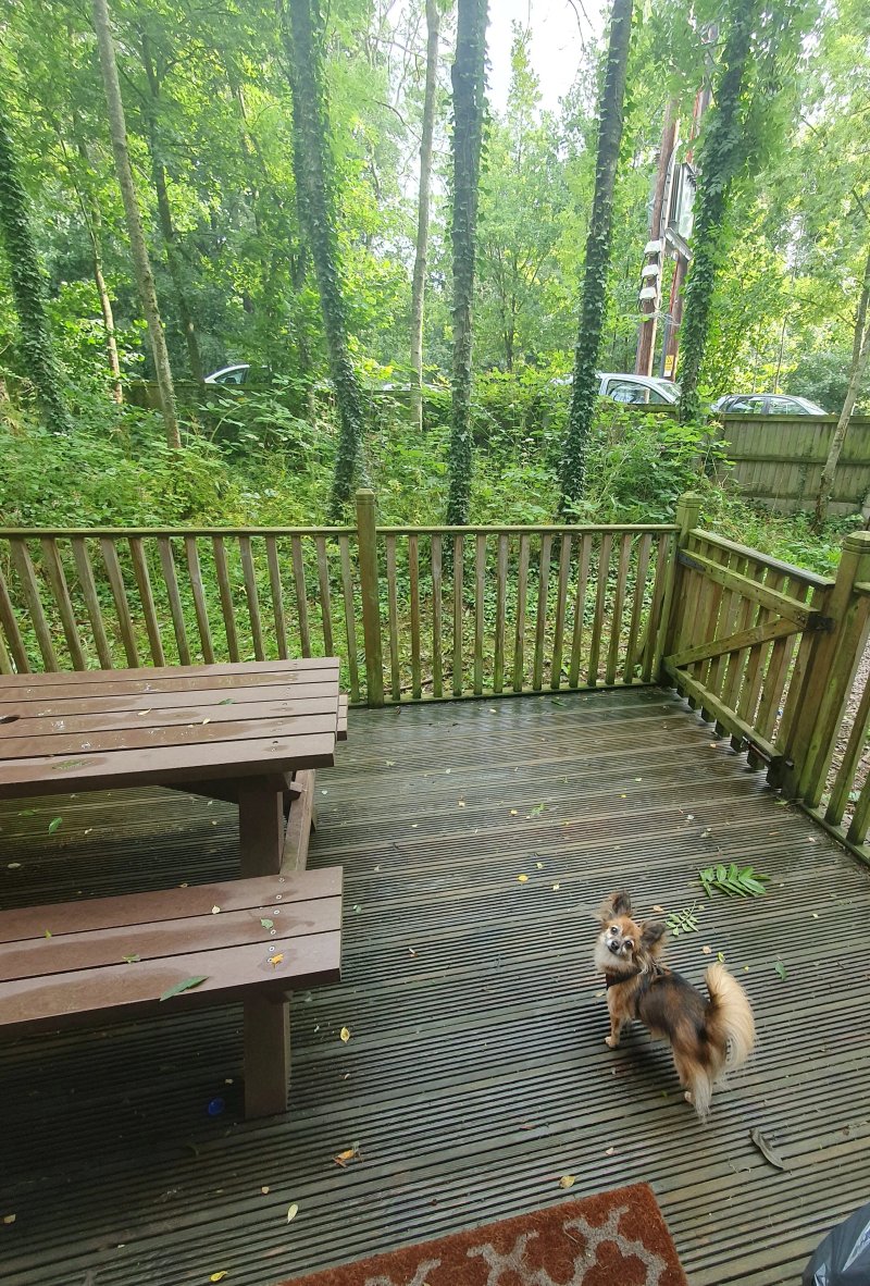 Riddings Wood Caravan And Camping Park