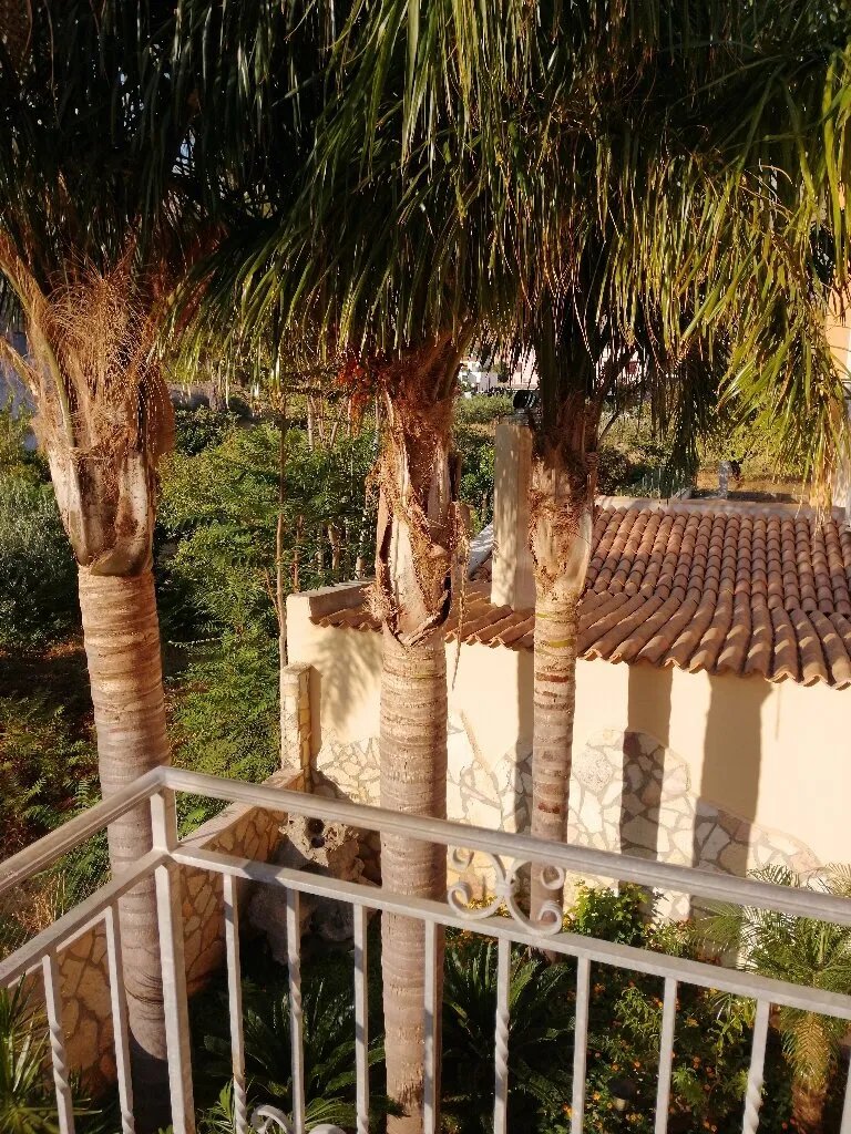Le Falesie DI Castelluzzo
