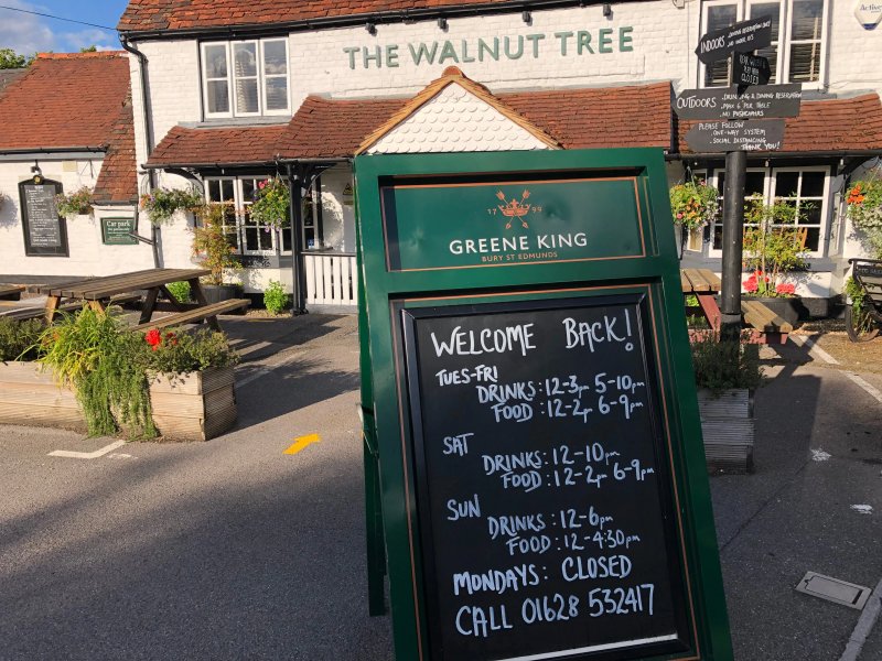 The Walnut Tree