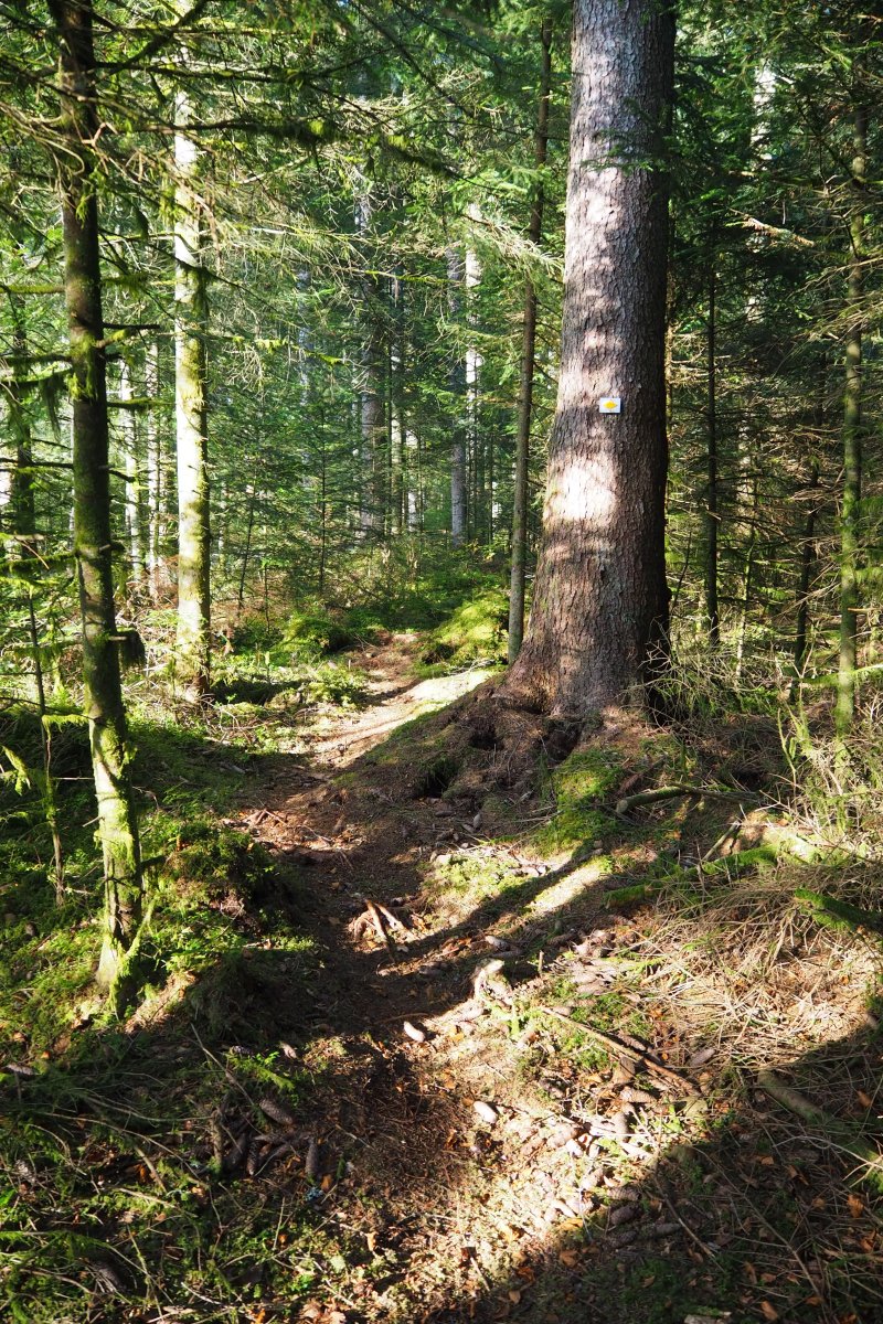 Gasthof Zum Hirschen