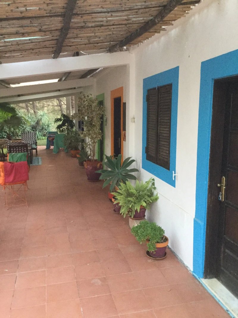 Casa do Palmeiral