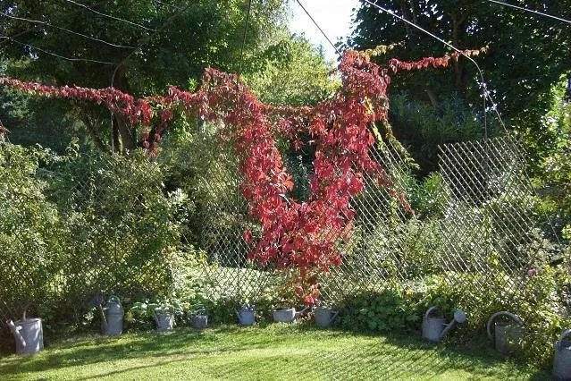 Les Jardins de L'Aulnaie