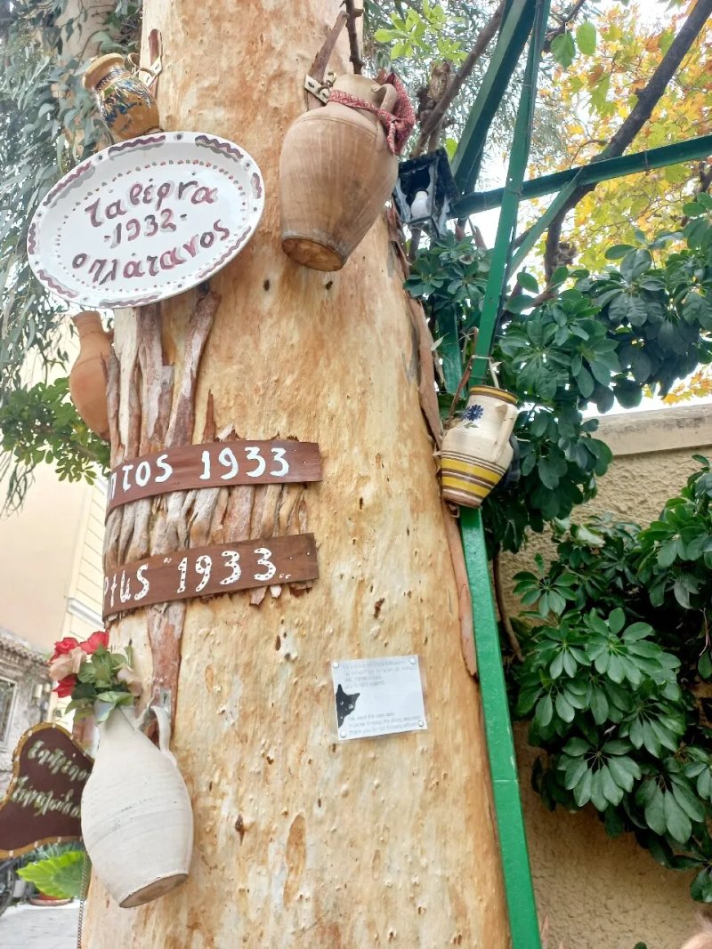 Taverna Platanos